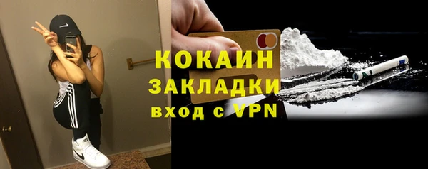 гашик Саки