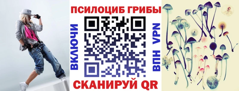 Галлюциногенные грибы Psilocybe  наркошоп  Чита 